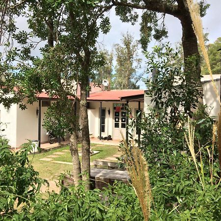 Hostel Punta Ballena Bar Dış mekan fotoğraf