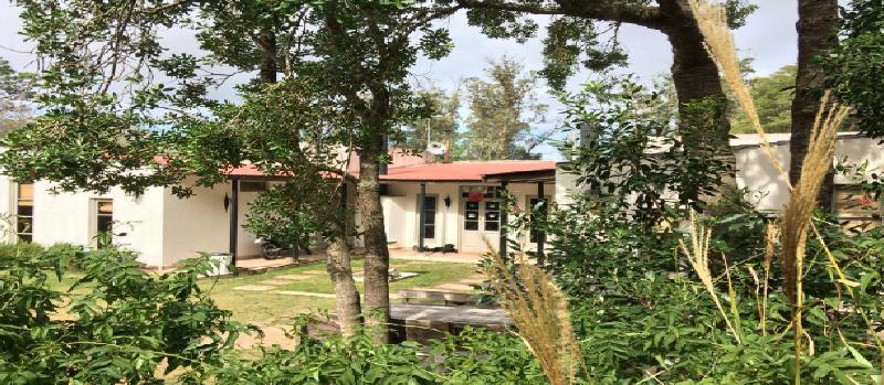 Hostel Punta Ballena Bar Dış mekan fotoğraf