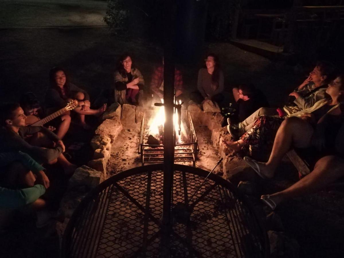 Hostel Punta Ballena Bar Dış mekan fotoğraf